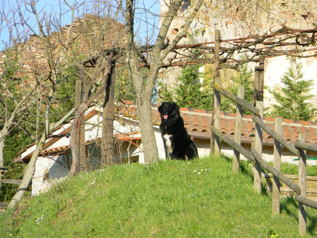 Agriturismo Podere La Selva Vila Serre Di Rapolano Exterior foto
