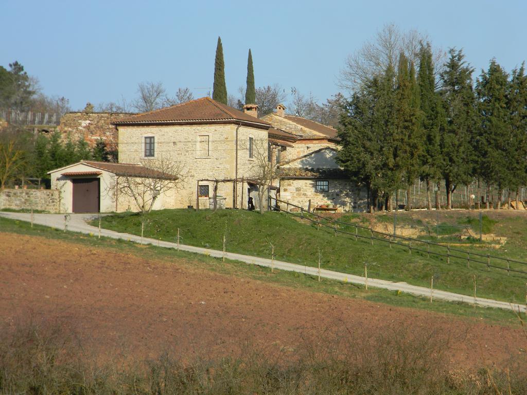 Agriturismo Podere La Selva Vila Serre Di Rapolano Exterior foto