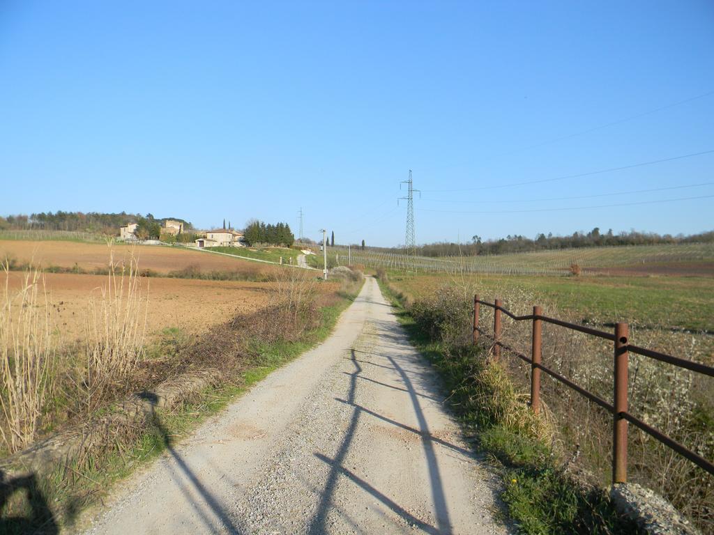 Agriturismo Podere La Selva Vila Serre Di Rapolano Exterior foto